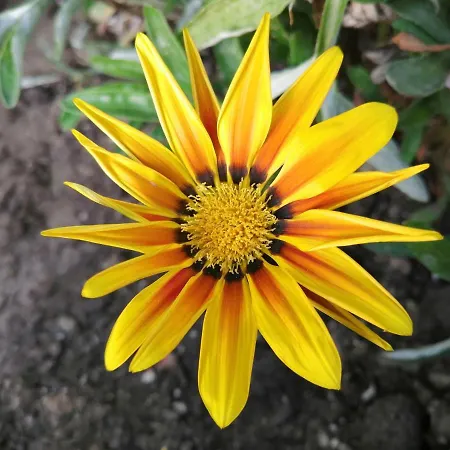 Lejlighedshotel Luna Bianca - Corfu Corfu (city)